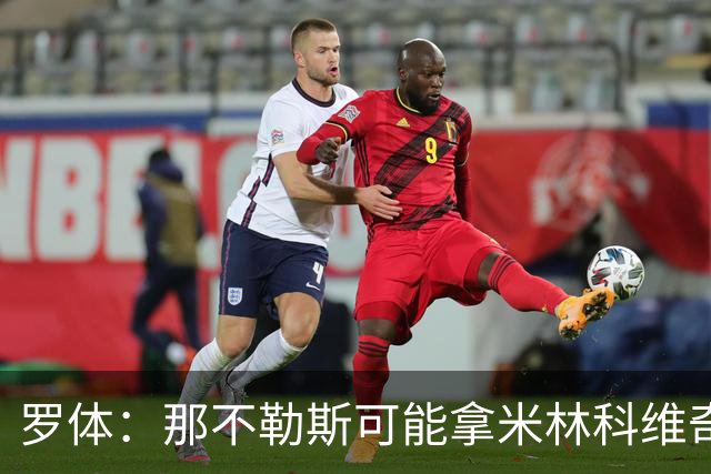 罗体：那不勒斯可能拿米林科维奇和热刺交换维卡里奥