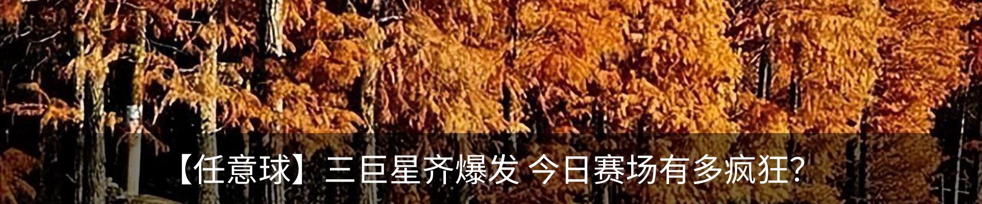 新闻动态