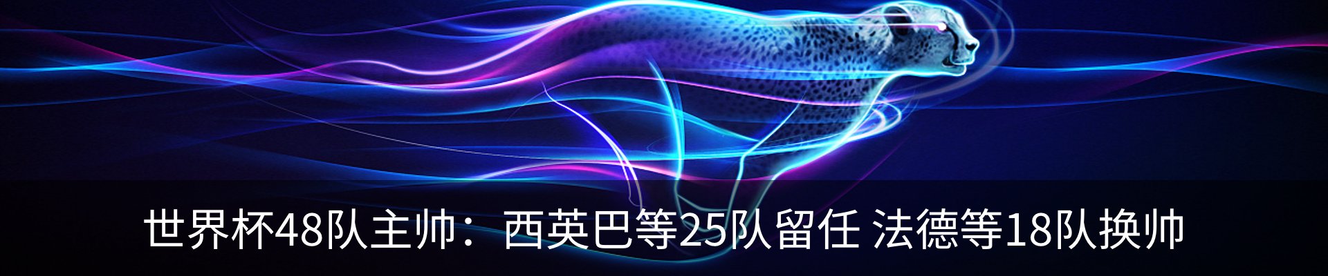 新闻动态