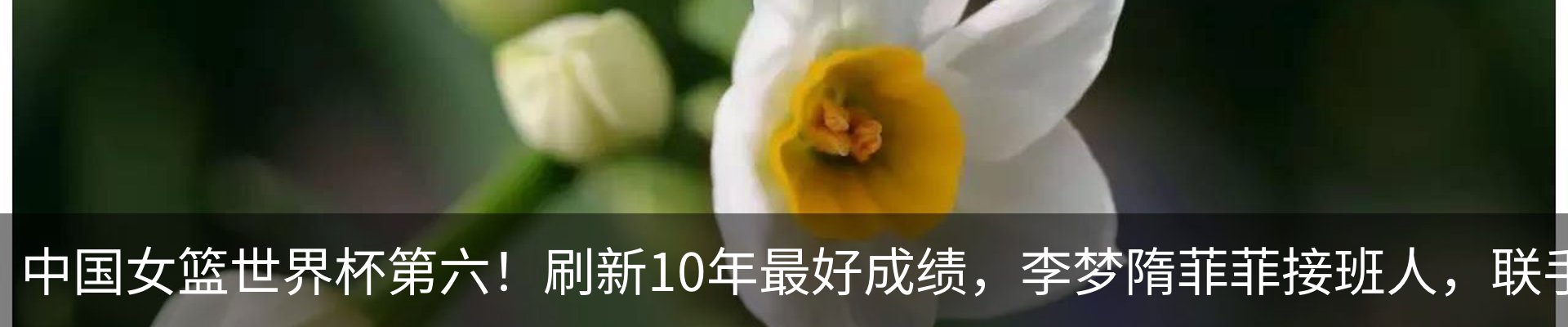 新闻动态