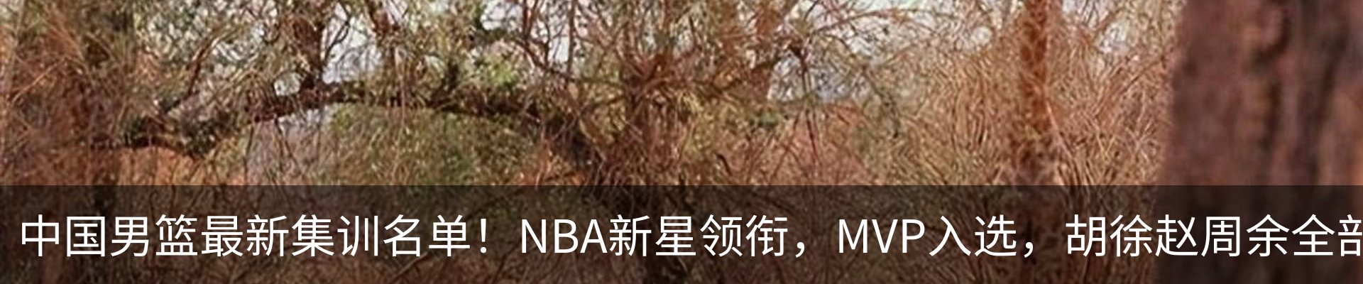 新闻动态