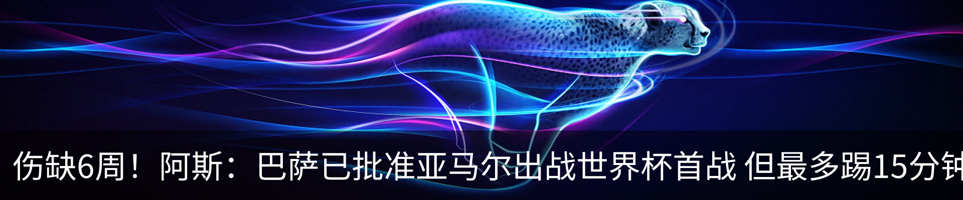 新闻动态