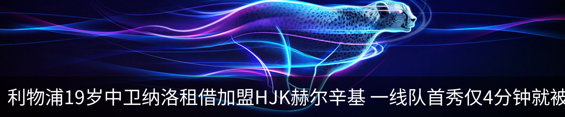 新闻动态