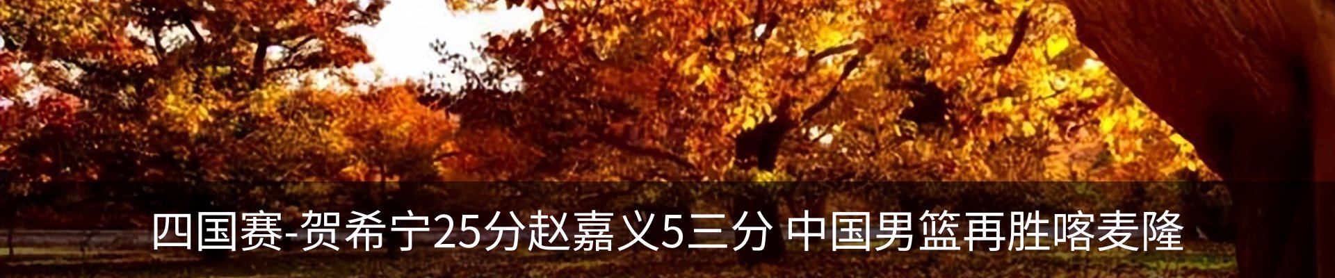 新闻动态
