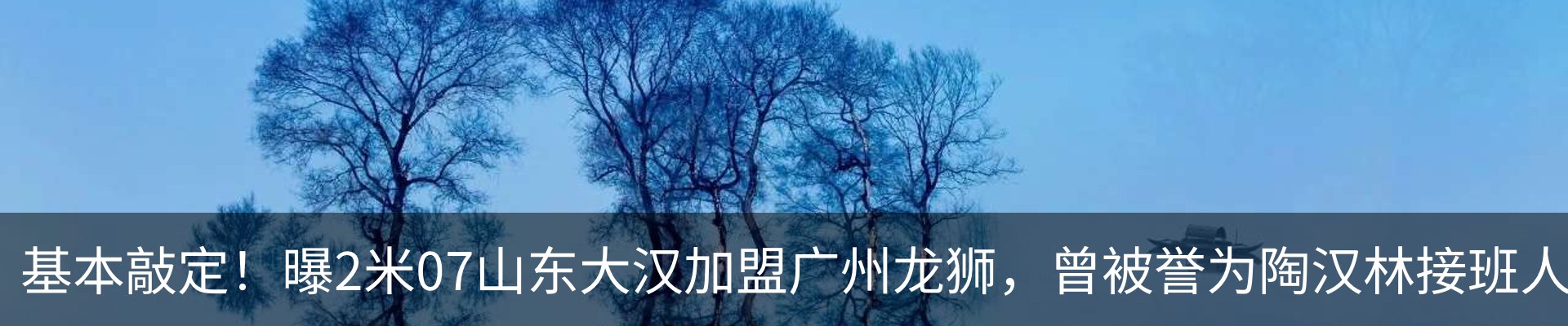 新闻动态