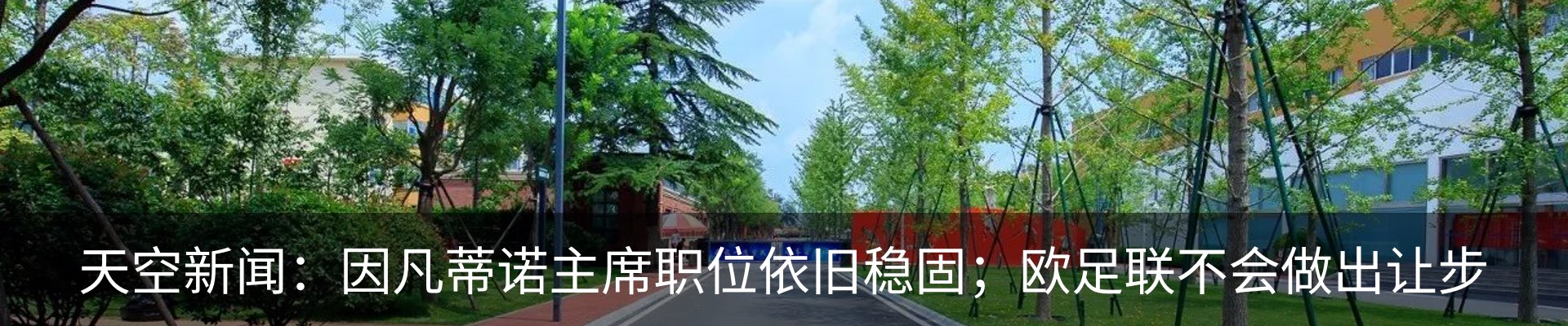 新闻动态