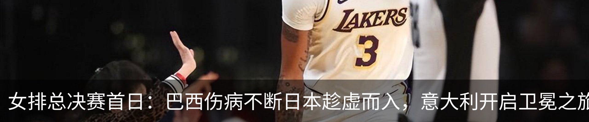 新闻动态