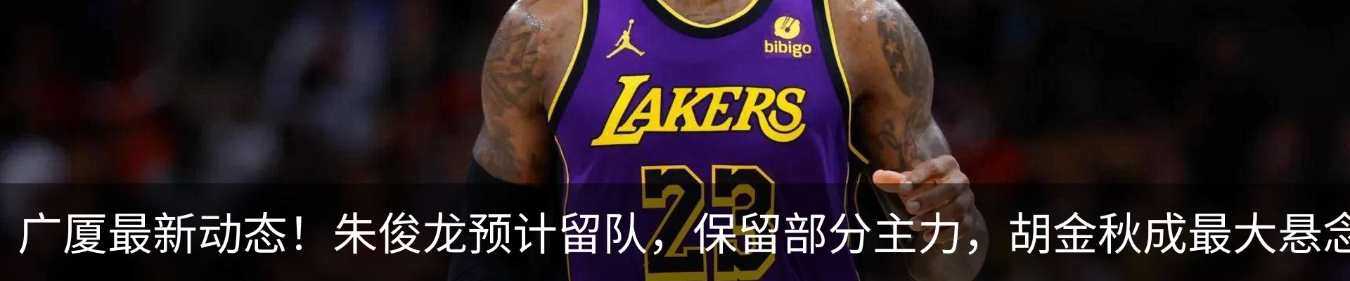 新闻动态