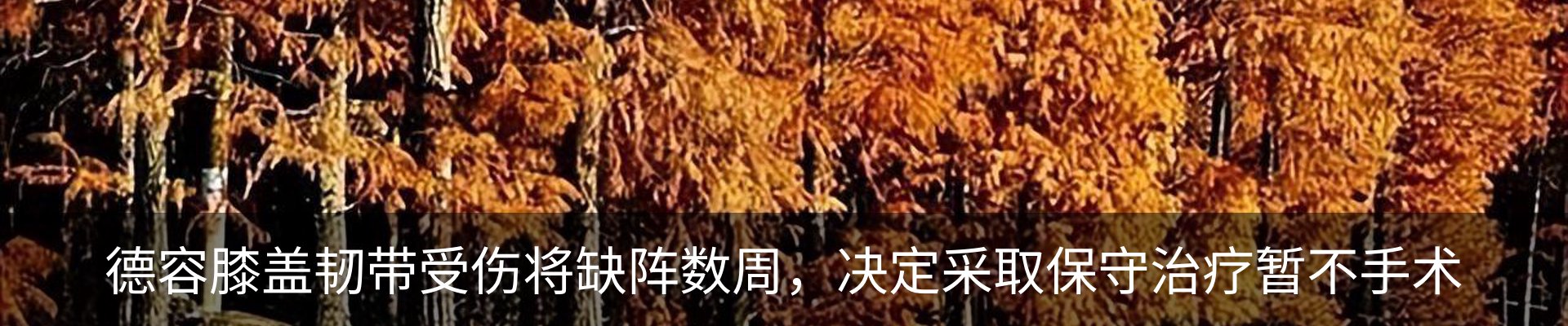 新闻动态