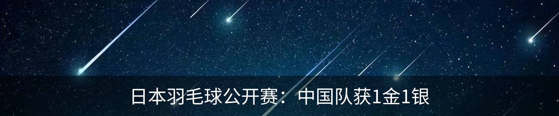 新闻动态