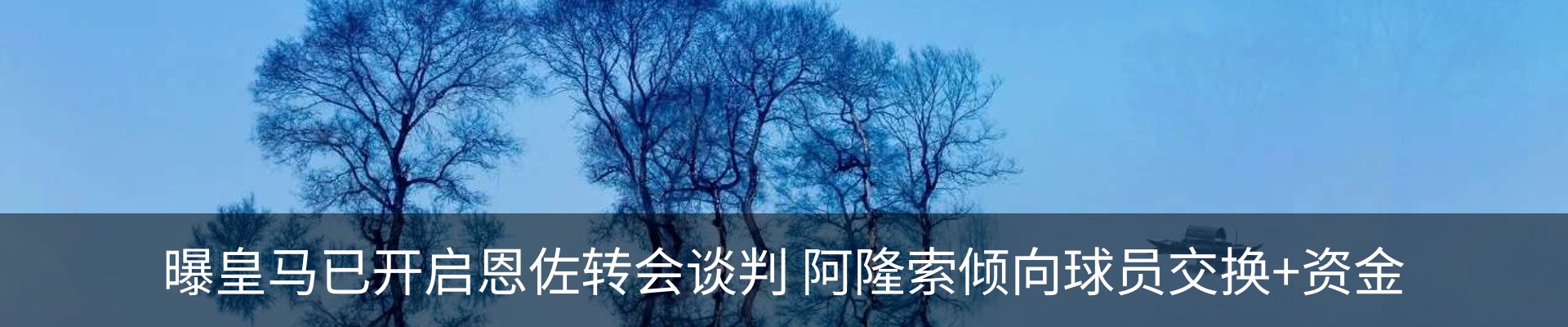 新闻动态