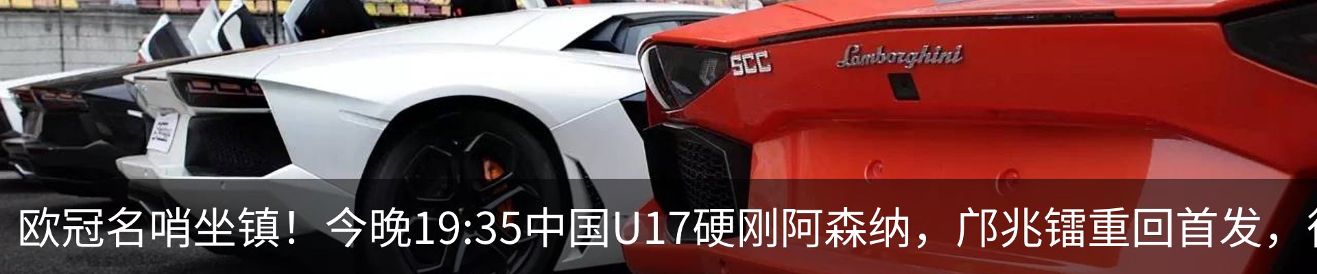 新闻动态