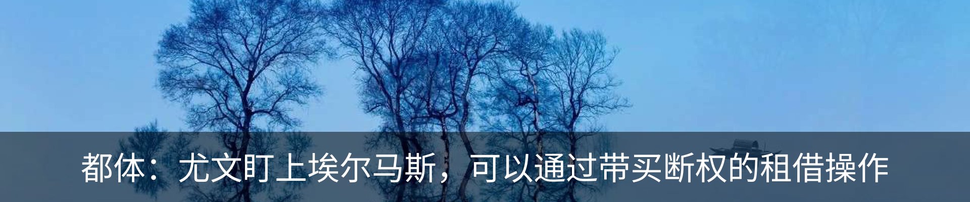 新闻动态