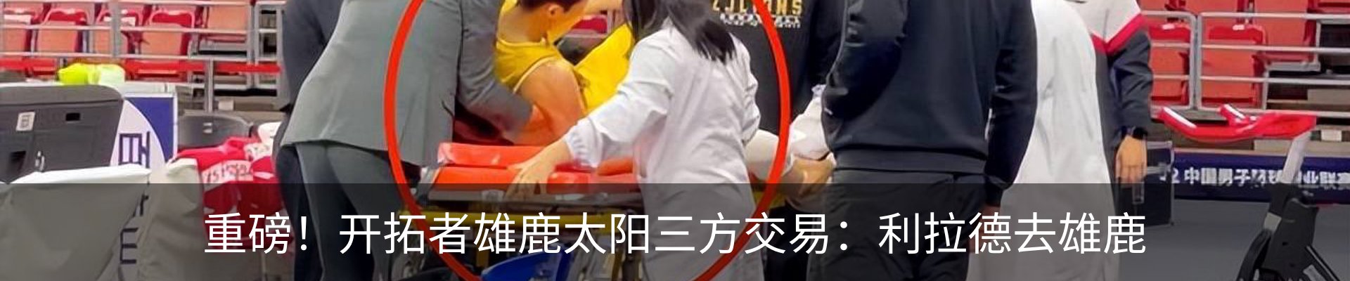 新闻动态