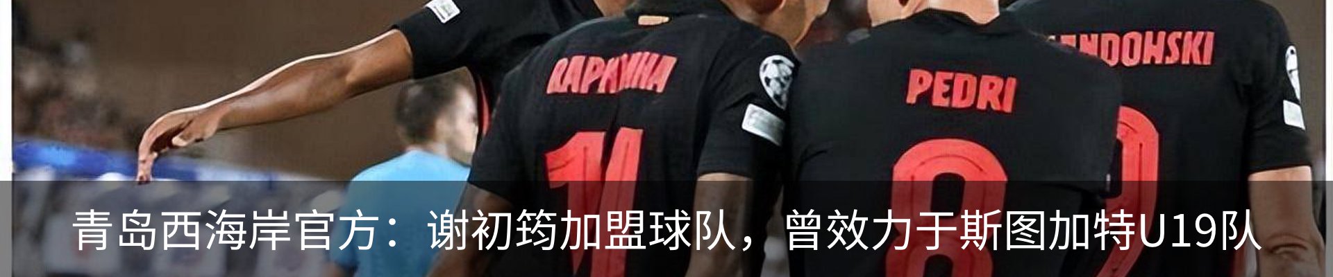 新闻动态
