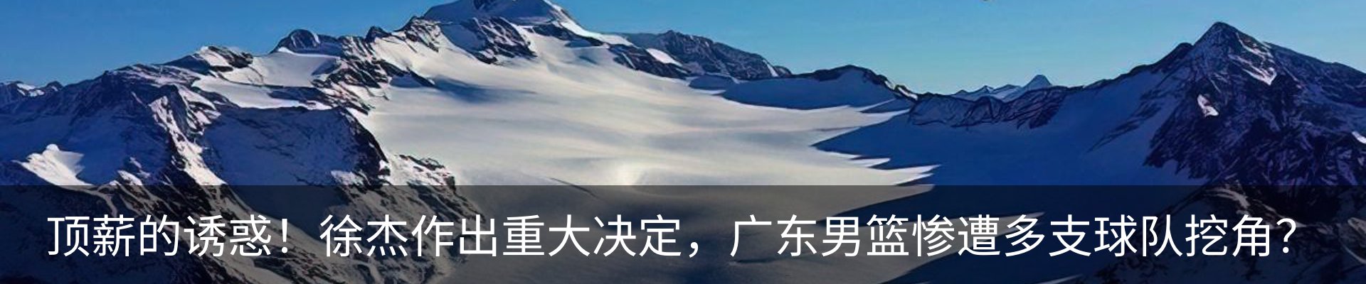 新闻动态