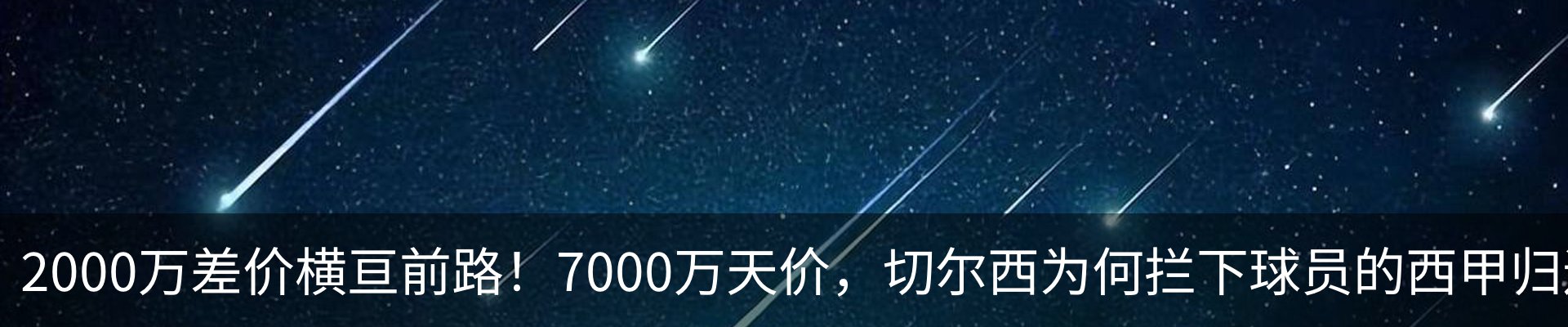 新闻动态
