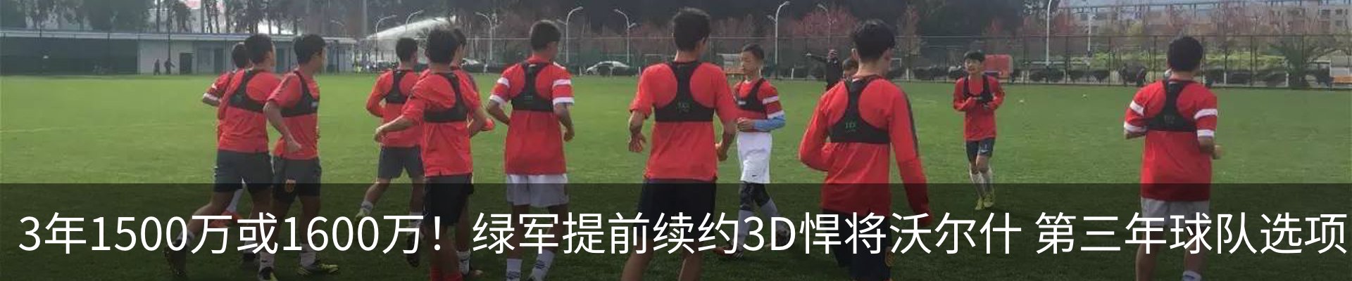 新闻动态