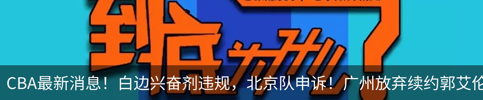 新闻动态