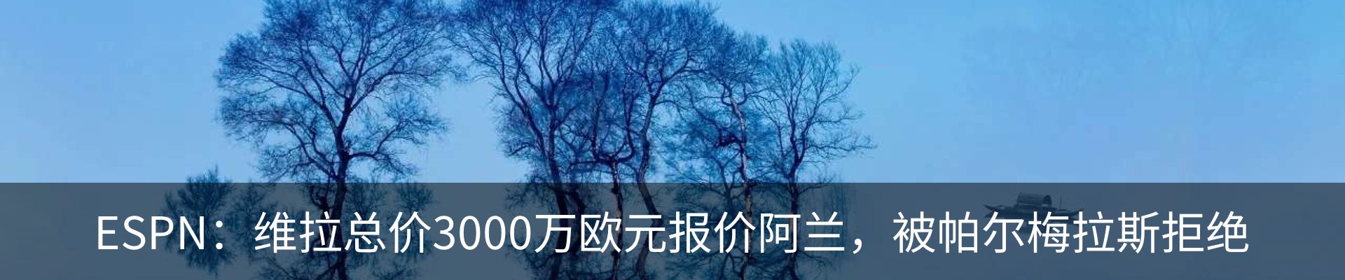 新闻动态